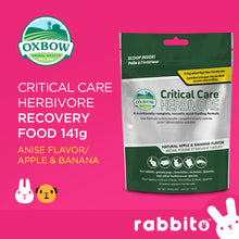 Load image into Gallery viewer, Oxbow Critical Care Recovery Food 141g