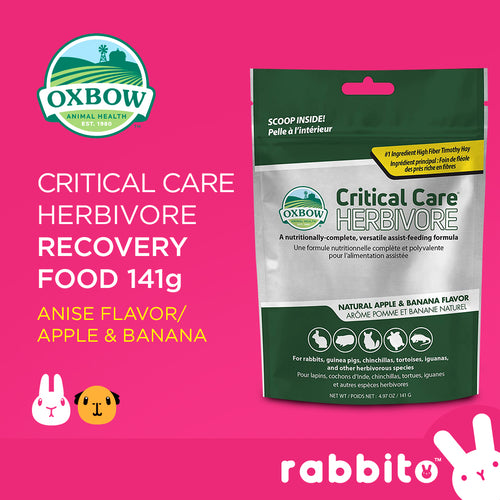 Oxbow Critical Care Recovery Food 141g