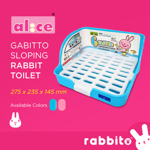 Alice Gabitto Sloping Rabbit Toilet
