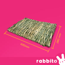 Load image into Gallery viewer, Jolly Hay Mat (Large)