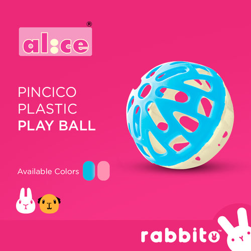 Alice Pincico Play Ball Toy